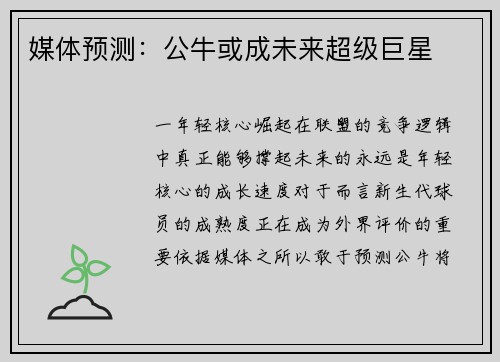 媒体预测：公牛或成未来超级巨星