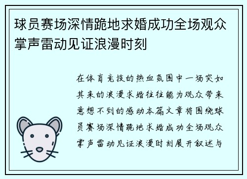 球员赛场深情跪地求婚成功全场观众掌声雷动见证浪漫时刻